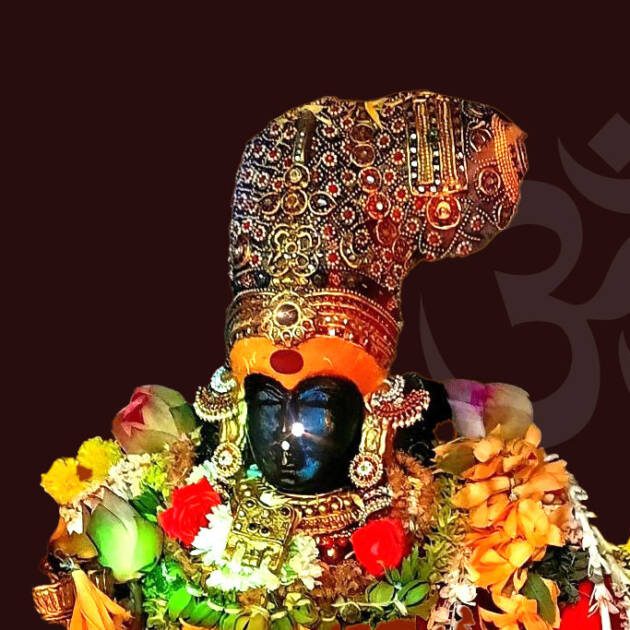 शक्त्यै महासेवा: Maha Seva to the Divine Mother