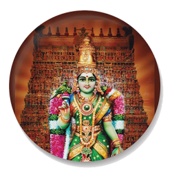 4meenakshiAsset4_1024x1024